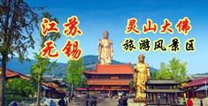 韩国美女脱内衣裸胸视频网站江苏无锡灵山大佛旅游风景区