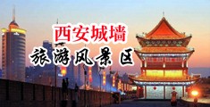 大几把操逼插逼视频中国陕西-西安城墙旅游风景区