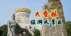 香港免费的操逼视频中国浙江-绍兴大香林旅游风景区