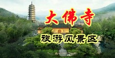 大鸡巴操网红白虎逼中国浙江-新昌大佛寺旅游风景区